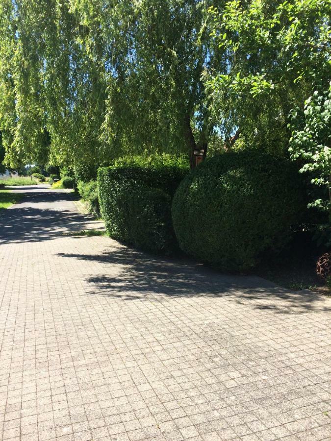 Ferienwohnung Thiergarten 미스텔가우 외부 사진